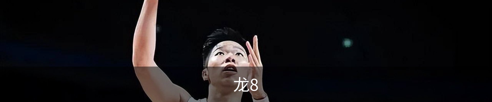 龙8